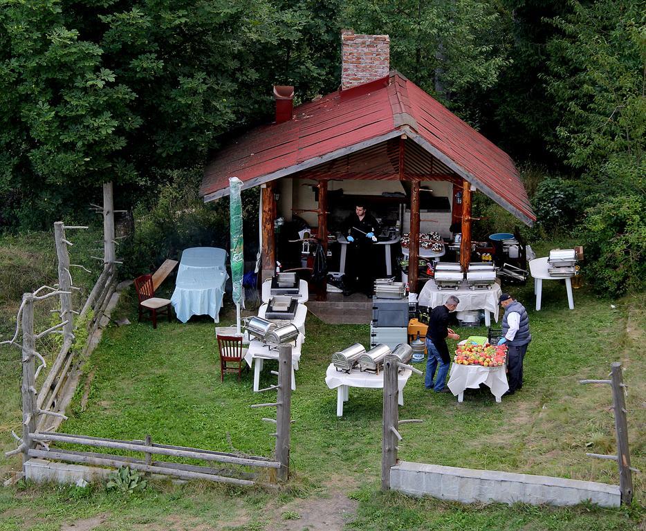 Hotel Borika 4*